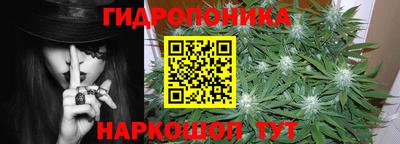 сатива Будённовск