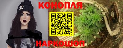 сатива Будённовск