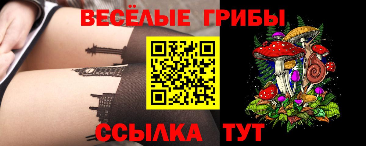 Псилоцибиновые грибы GOLDEN TEACHER Котлас